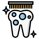 Dental Cleanings

              